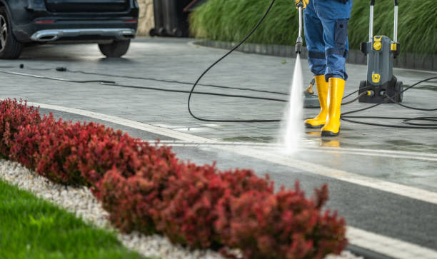 Best Sidewalk and Walkway Cleaning  in Carbondale, PA